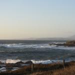 DSC_6400 (May 05, 2023)